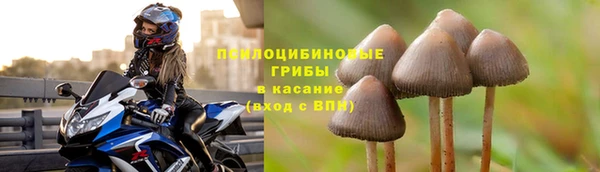 ECSTASY Алзамай