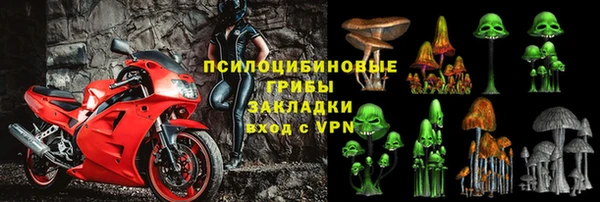 ECSTASY Алзамай