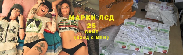 ECSTASY Алзамай