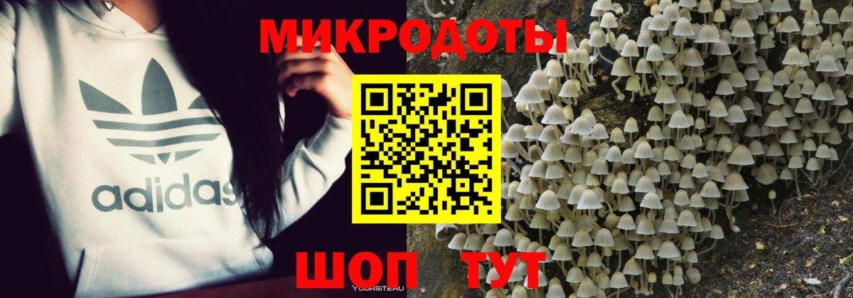 Псилоцибиновые грибы Magic Shrooms  Вход с VPN  Йошкар-Ола  наркота  Галлюциногенные грибы Psilocybine cubensis 